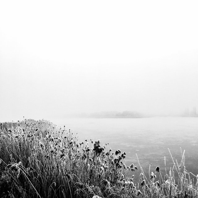 Koog aan de Zaan, The Netherlands