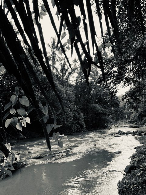 Badung Bongkasa