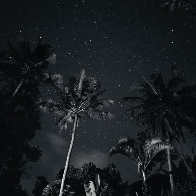 Nyepi 2020, Ubud