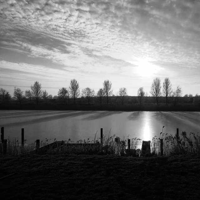 Koog aan de Zaan, The Netherlands