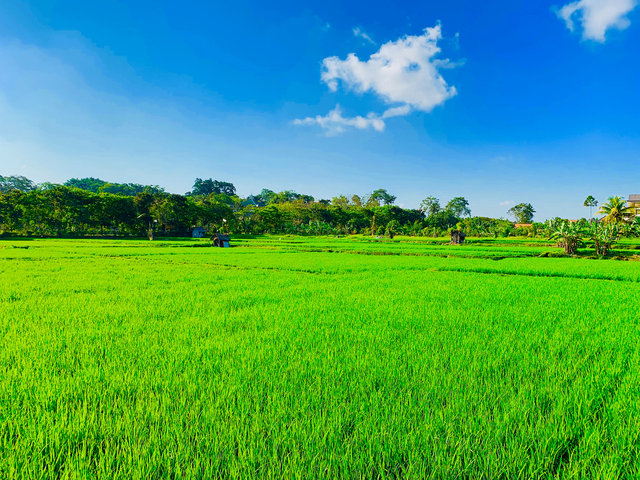 Ubud