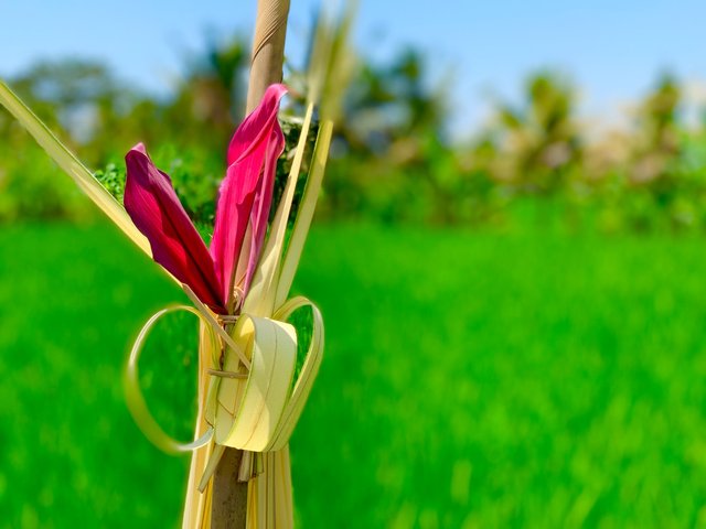 Gianyar