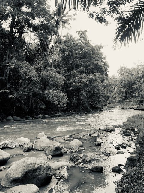 Badung Bongkasa, Bali