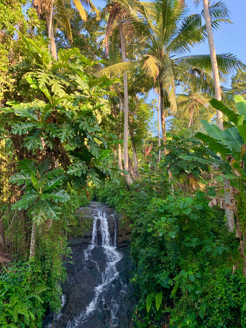 Ubud