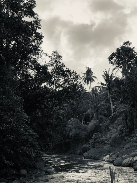 Badung Bongkasa