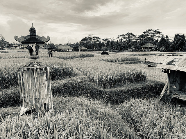Ubud