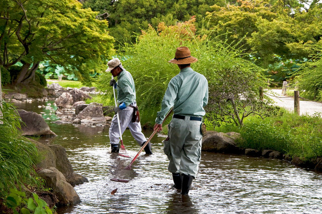 Ritsurin Garden, Takamatsu 