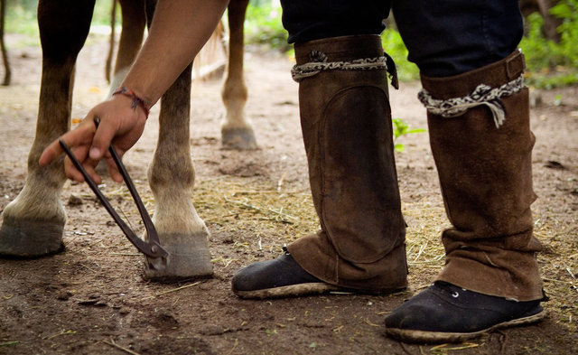 Gaucho I