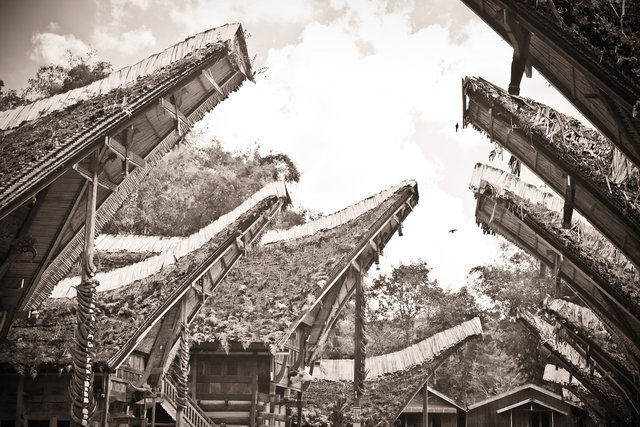 Tana Toraja Roof Tops