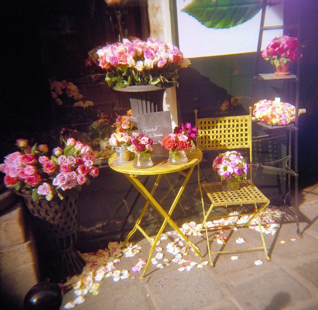 Holga France 83 #11-03_#4_FlowerStore - Version 2