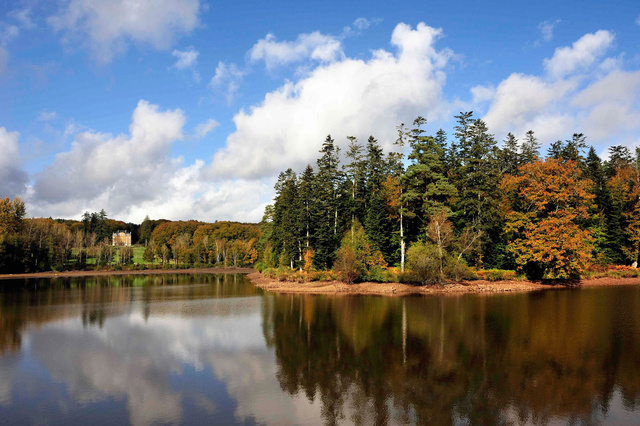 Etang des Forges