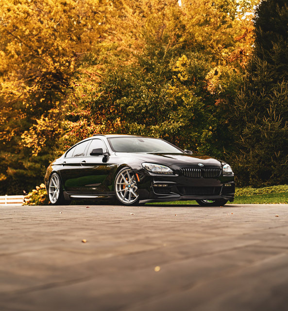 DSC09192 lowered2 tall 2.JPG