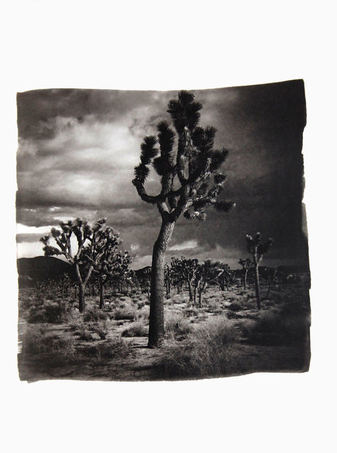 American Diary-001.JPG