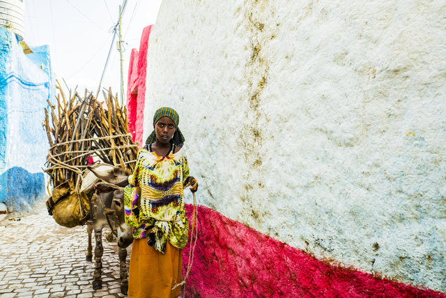 Harar, Ethiopia. 2015.
