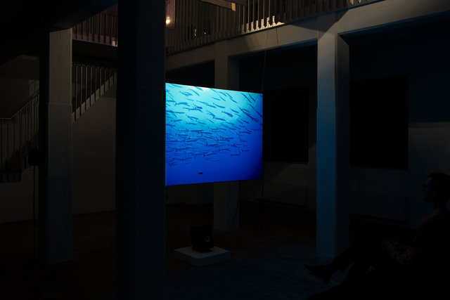 Shezad Dawood, Leviathan, 2018, installation shot A Tale of a Tub. Photo: Robert Glas