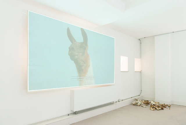 Eamonn Harnett, installation view A Tale of a Tub. Photo: Fabian Landewee