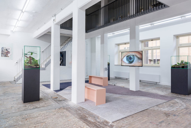 Christopher Kulendran Thomas i.c.w. Annika Kuhlmann, ROME, 2017, installation view A Tale of a Tub. Photo: Fabian Landewee