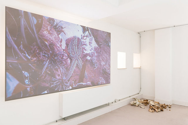 Eamonn Harnett, installation view A Tale of a Tub. Photo: Fabian Landewee