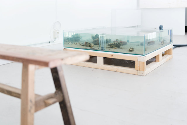 Eamonn Harnett, installation view A Tale of a Tub. Photo: Fabian Landewee
