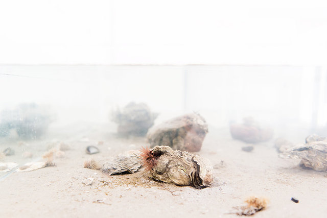Eamonn Harnett, installation view A Tale of a Tub. Photo: Fabian Landewee