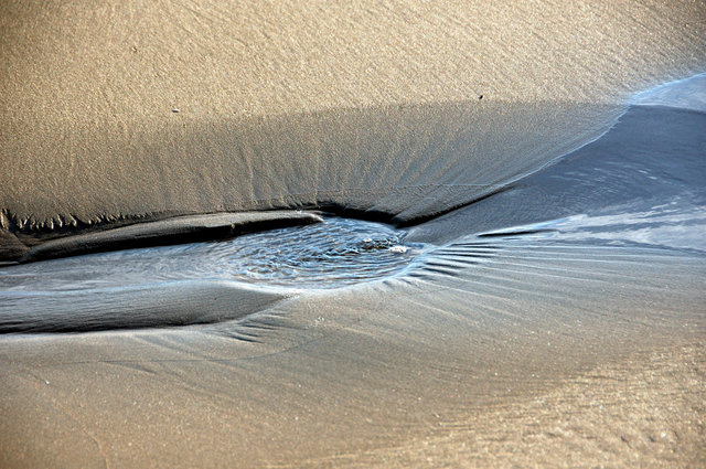 Delta del Ebro_0013.JPG