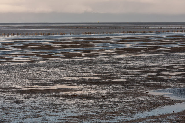 Near Eemshaven (Groningen)