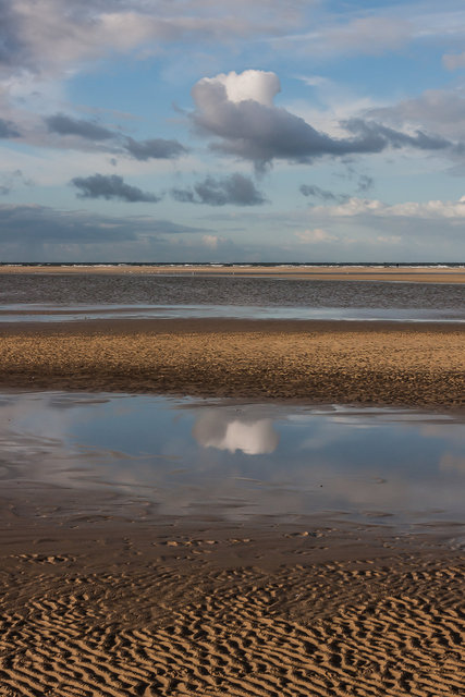 Texel