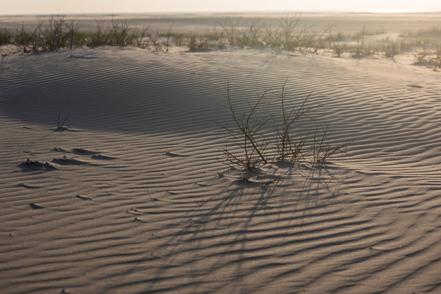 Schiermonnikoog