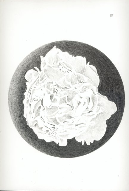 D.o.L.  08072013 Inside out 300dpi .jpg