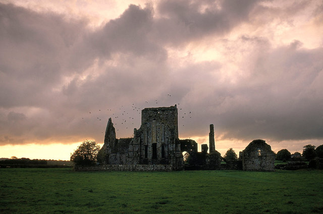 Shore abbey,Cashel,Tipperary