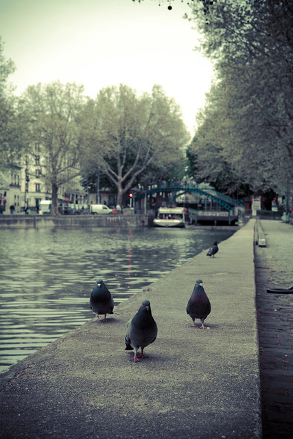 Paris Canals