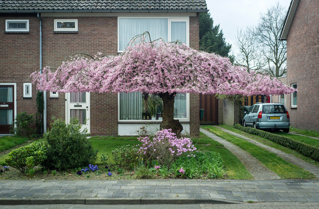 De natuur bedwongen