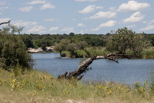 Chobe River