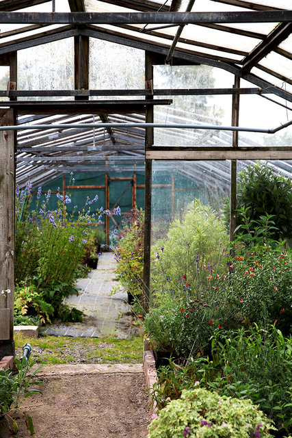 Hooksgreen Herb Nursery