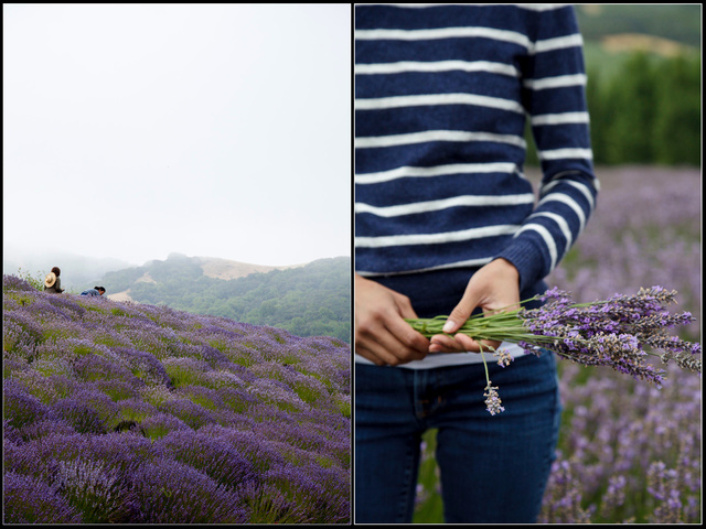 Screen Shot 2012-02-21 at 3.36.10 AM.png