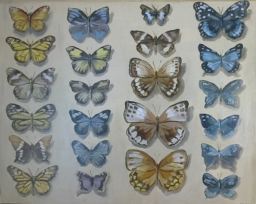 Motyle 40x50 olej płótno