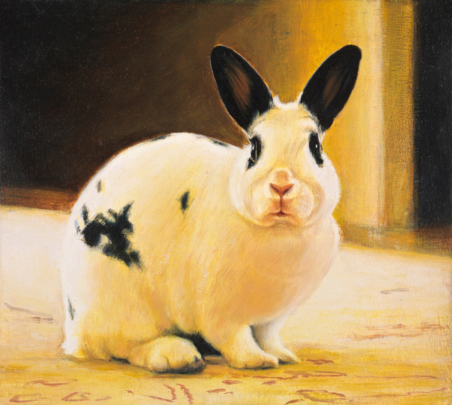 Breed: Rescue Rabbit