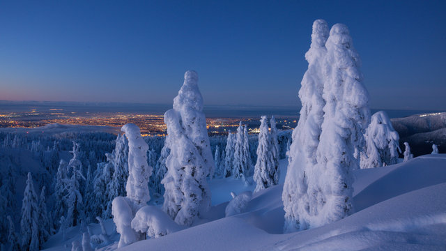 Mount Seymour | Pre-dawn Light