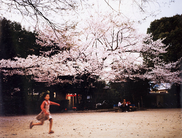 #6 Sakura Kyoto