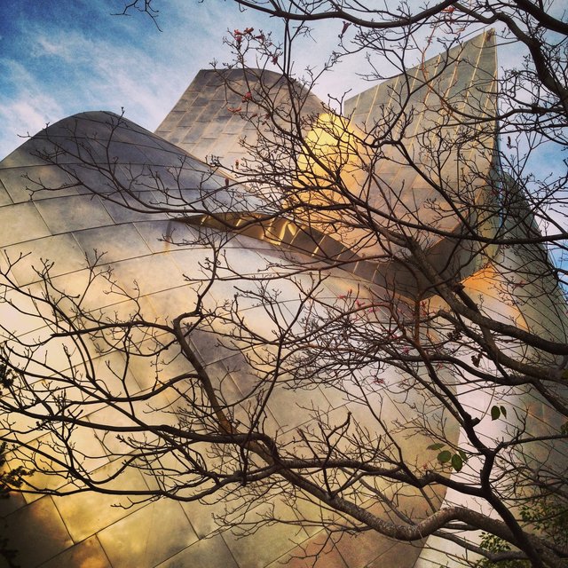 WALT DISNEY CONCERT HALL - GOLD 3