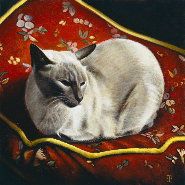 Breed: Lilac Point Siamese / "Baby"