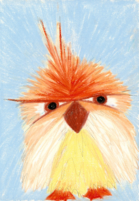 Angry Bird