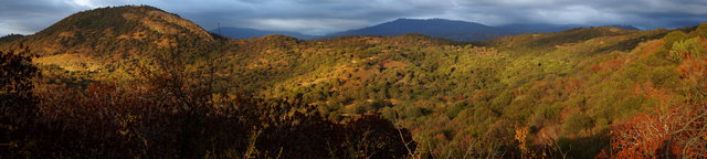 Foothills near Badger Panorama VB scaled.JPG