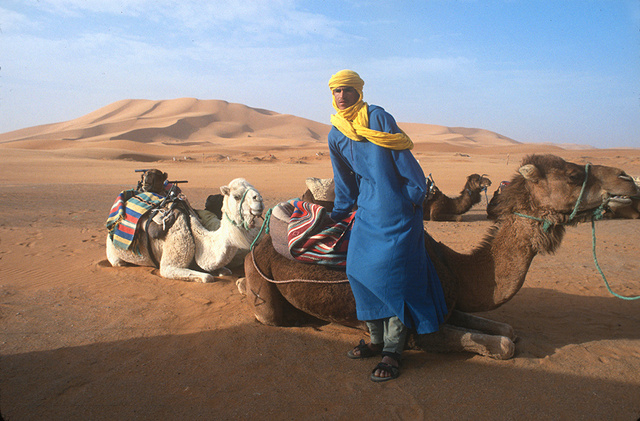  Sahara camel guide
