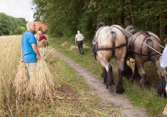 Voor de paarden zit het erop.