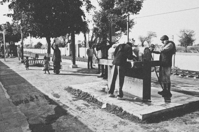 Platform watering hole x.jpg