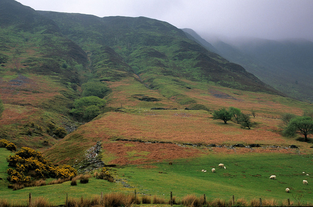 Parc national des Brecon Beacons,2002.