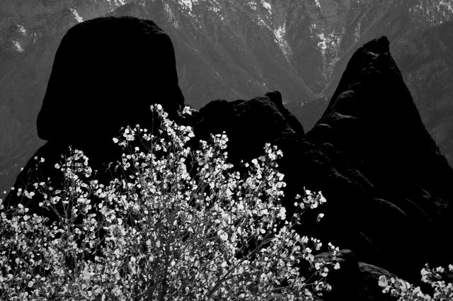 Alabama Hills Photo Workshops 10-09-9.jpg