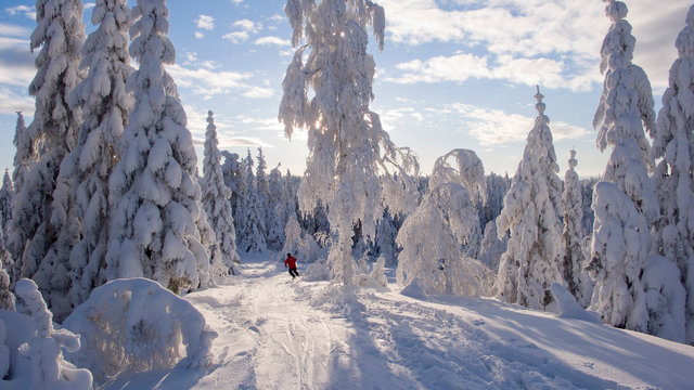 Skiing in Sweden