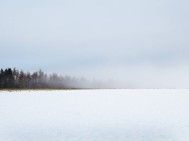 _MG_0398.jpg